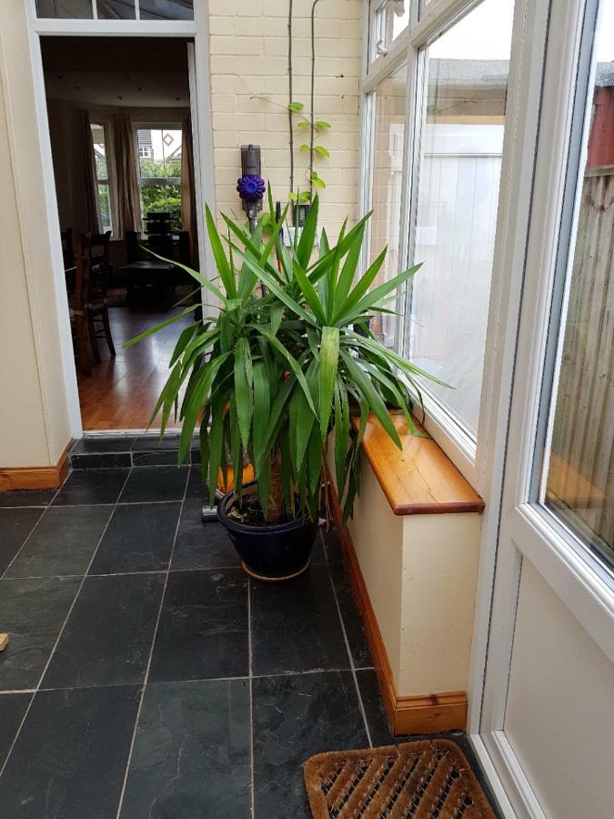 Hamilton House Villa Exmouth Bagian luar foto